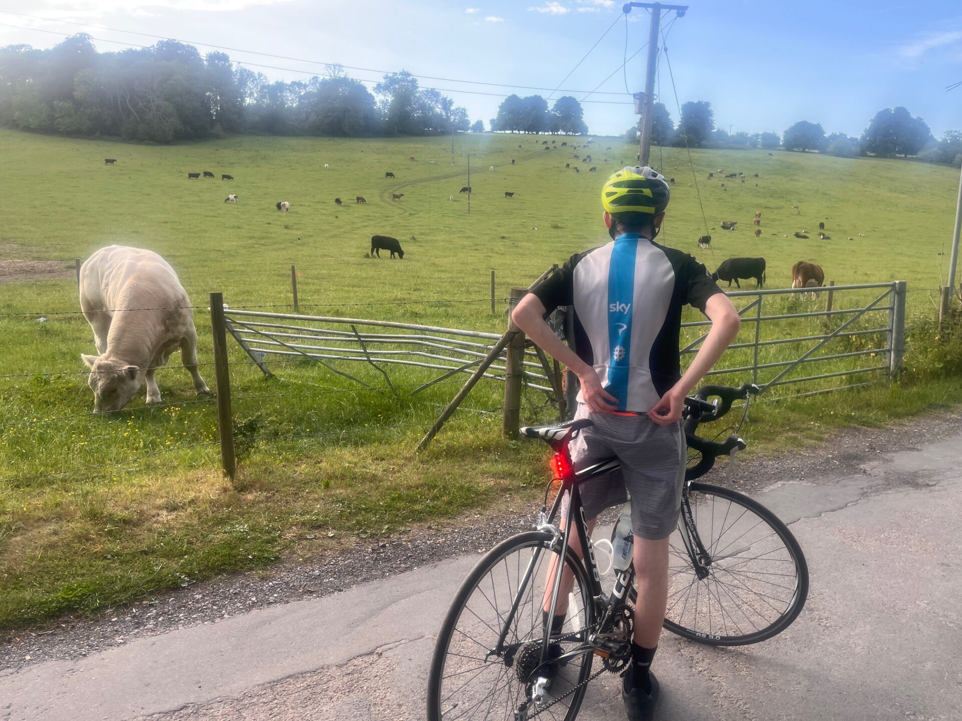 JJ cycling 2